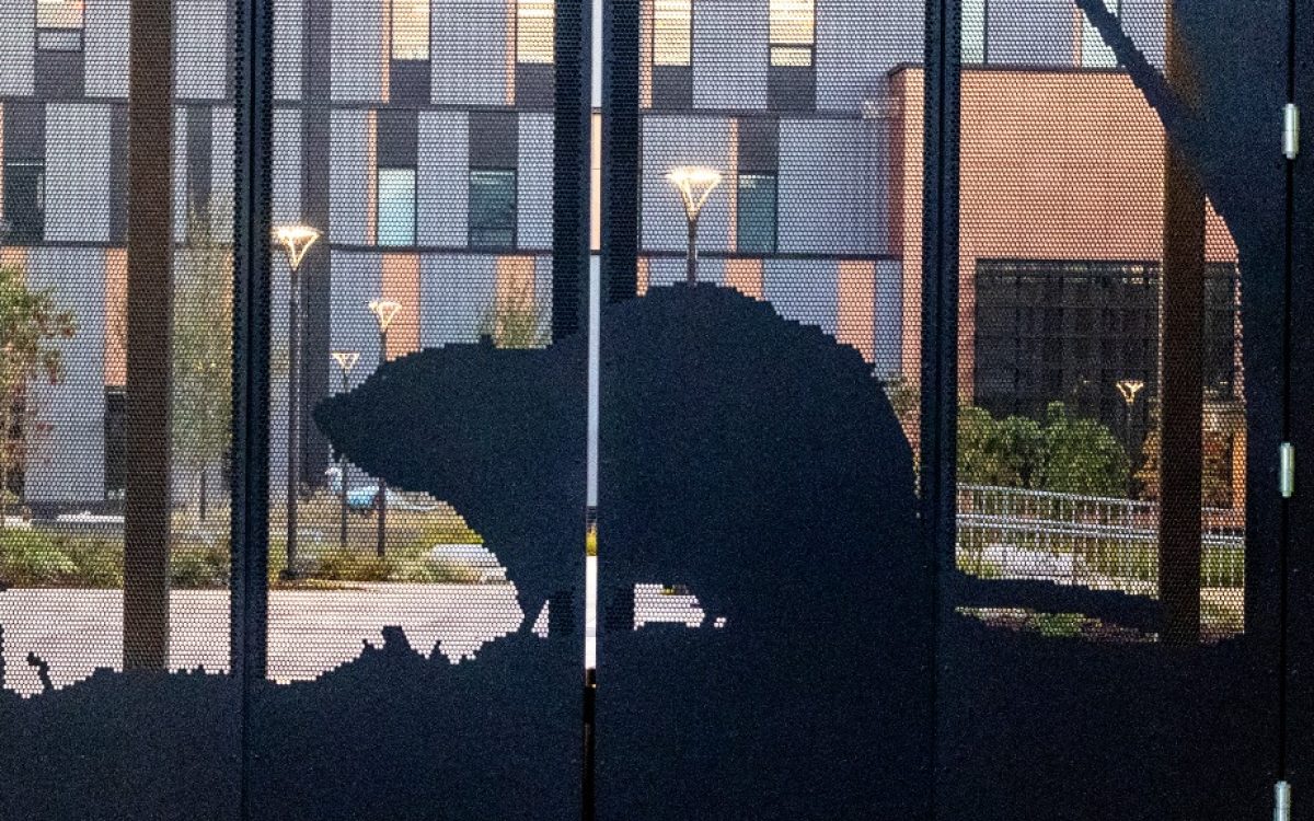 Beaverton High School (3)