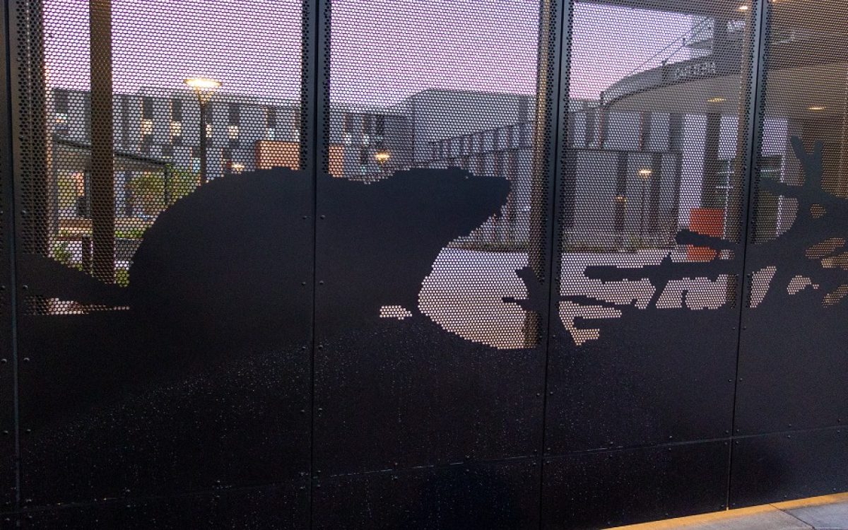 Beaverton High School (4)
